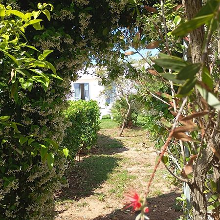 Li Curti B&B Melissano 외부 사진