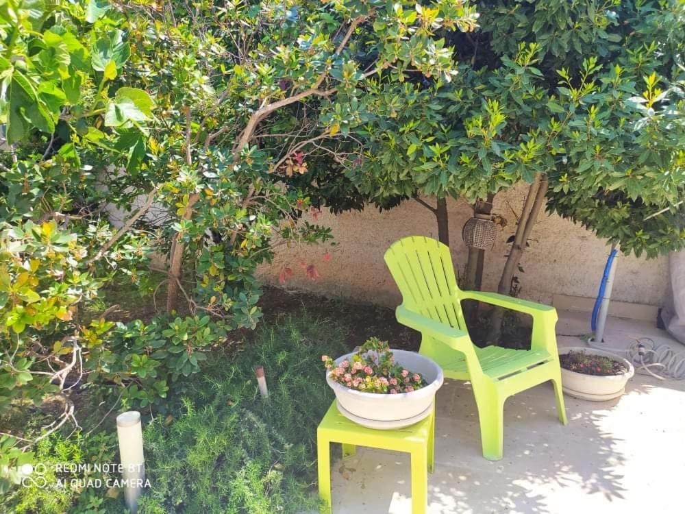 Li Curti B&B Melissano 외부 사진