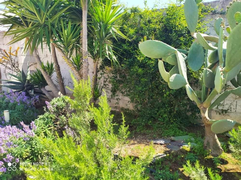 Li Curti B&B Melissano 외부 사진