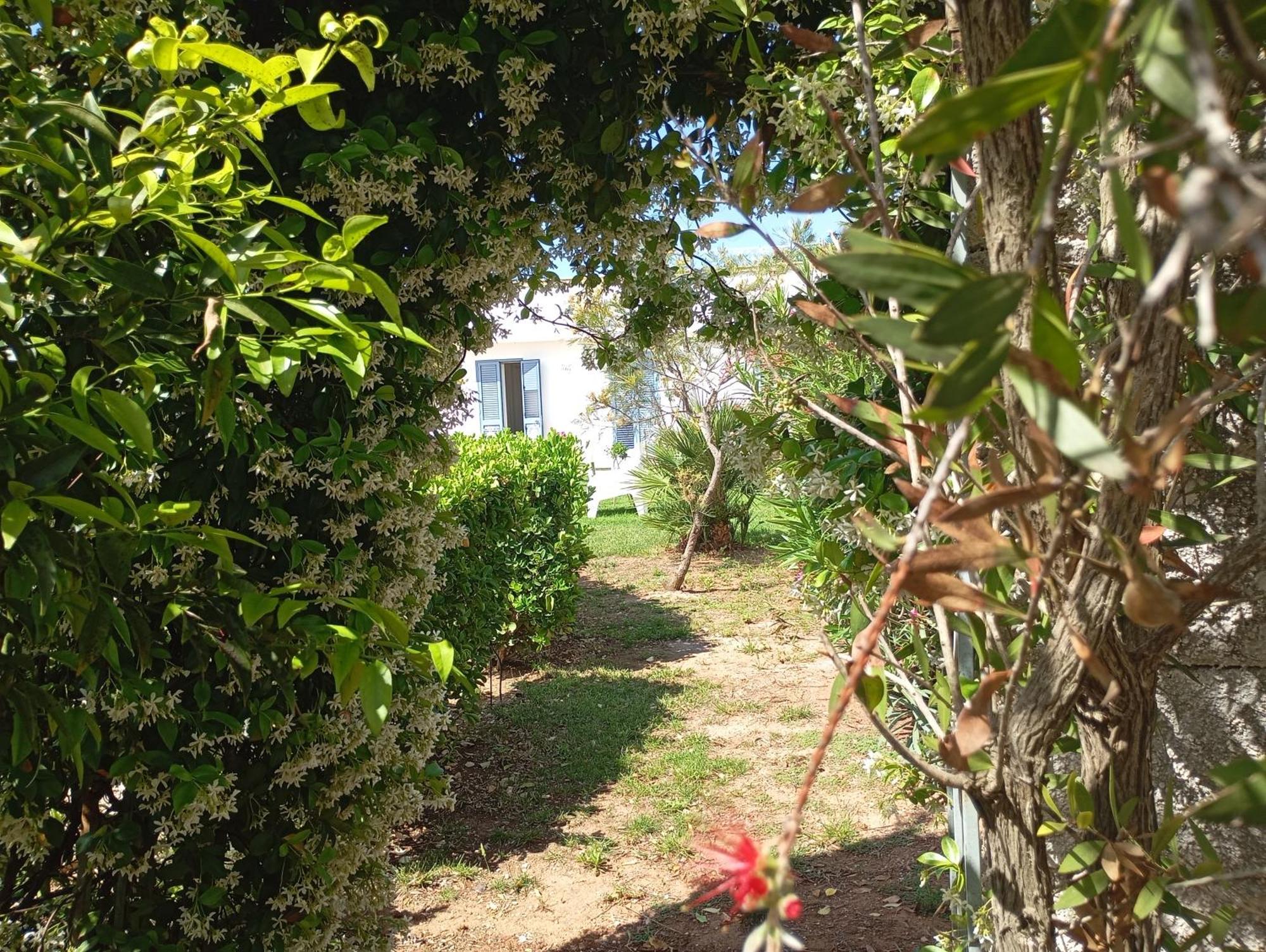Li Curti B&B Melissano 외부 사진