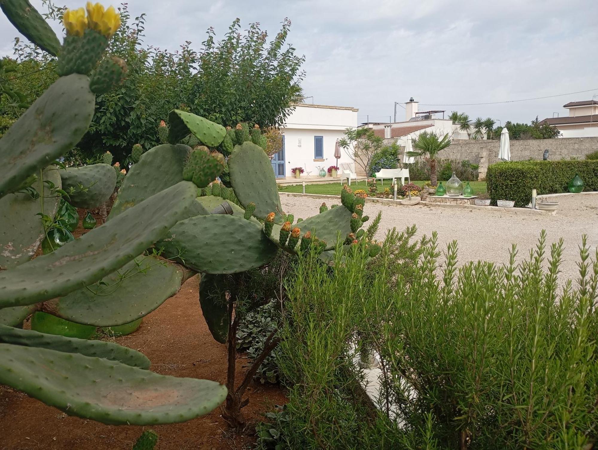Li Curti B&B Melissano 외부 사진