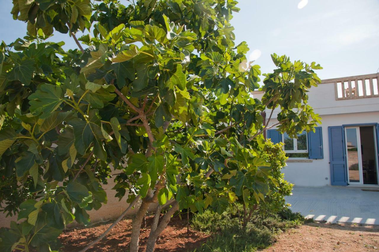 Li Curti B&B Melissano 외부 사진