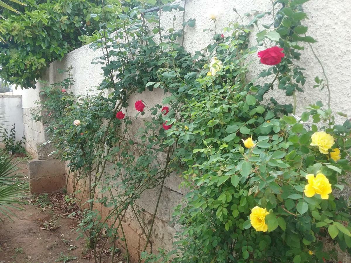 Li Curti B&B Melissano 외부 사진