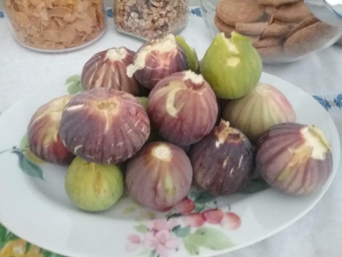 Li Curti B&B Melissano 외부 사진