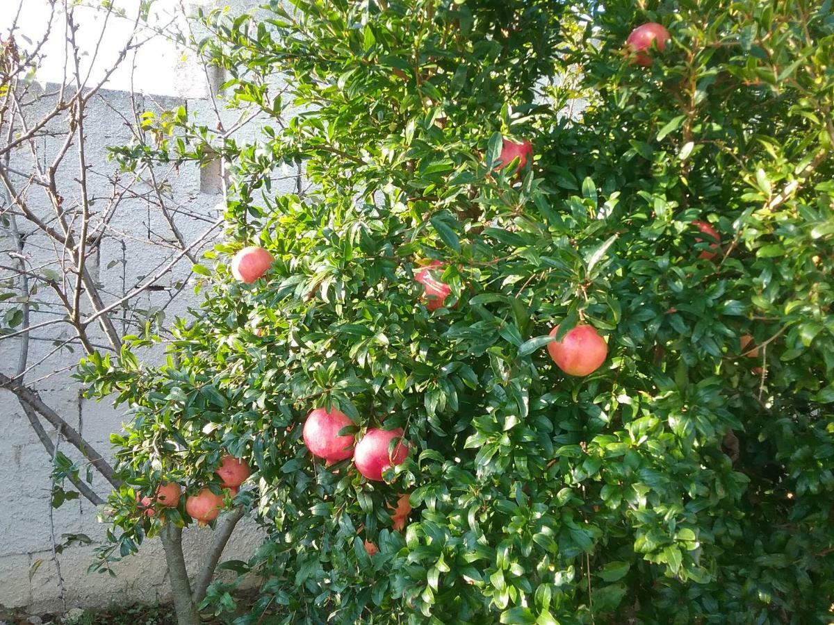Li Curti B&B Melissano 외부 사진