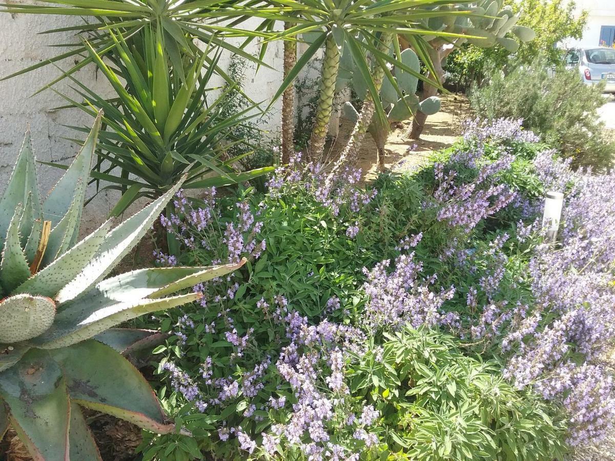 Li Curti B&B Melissano 외부 사진