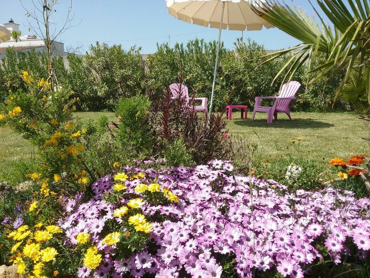 Li Curti B&B Melissano 외부 사진